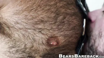 Muscular bear drilling handsome bottoms raw hole