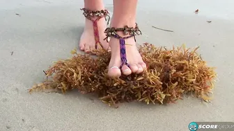 Sandy Foot