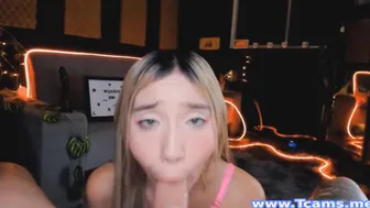 Hot Tranny Sucking Boyfriend Cock