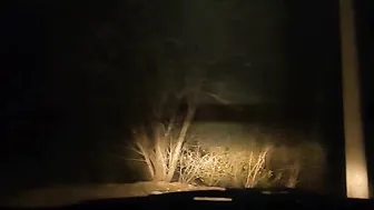 Sex with mothers friend in a car during night 2