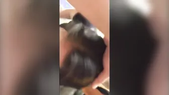Homemade Amateur Compilation I