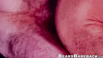 Bareback compilation with strong bears and sweet cubs