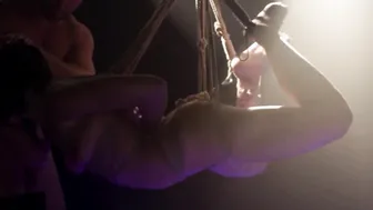 Adriana Chechik is squirting being assfucked by Seth Gamble 3