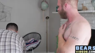 Fat hairy bear destroying tight hairy lovers asshole in doggystyle